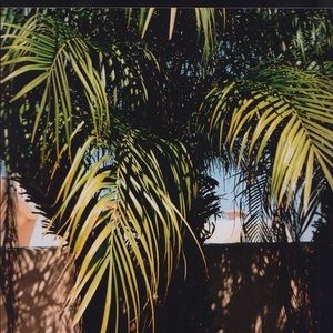 Meet your Posher, Rob